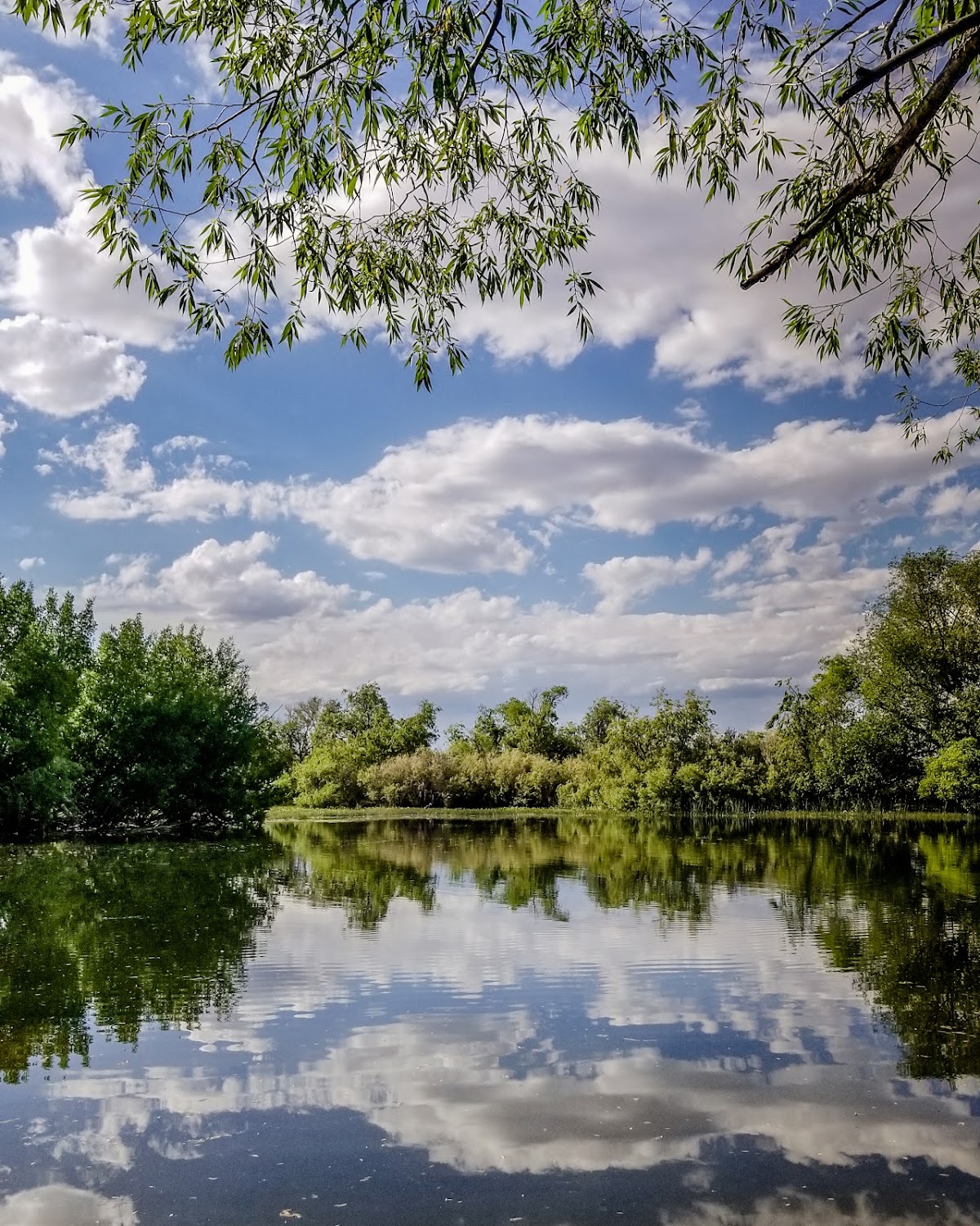 Mud Lake