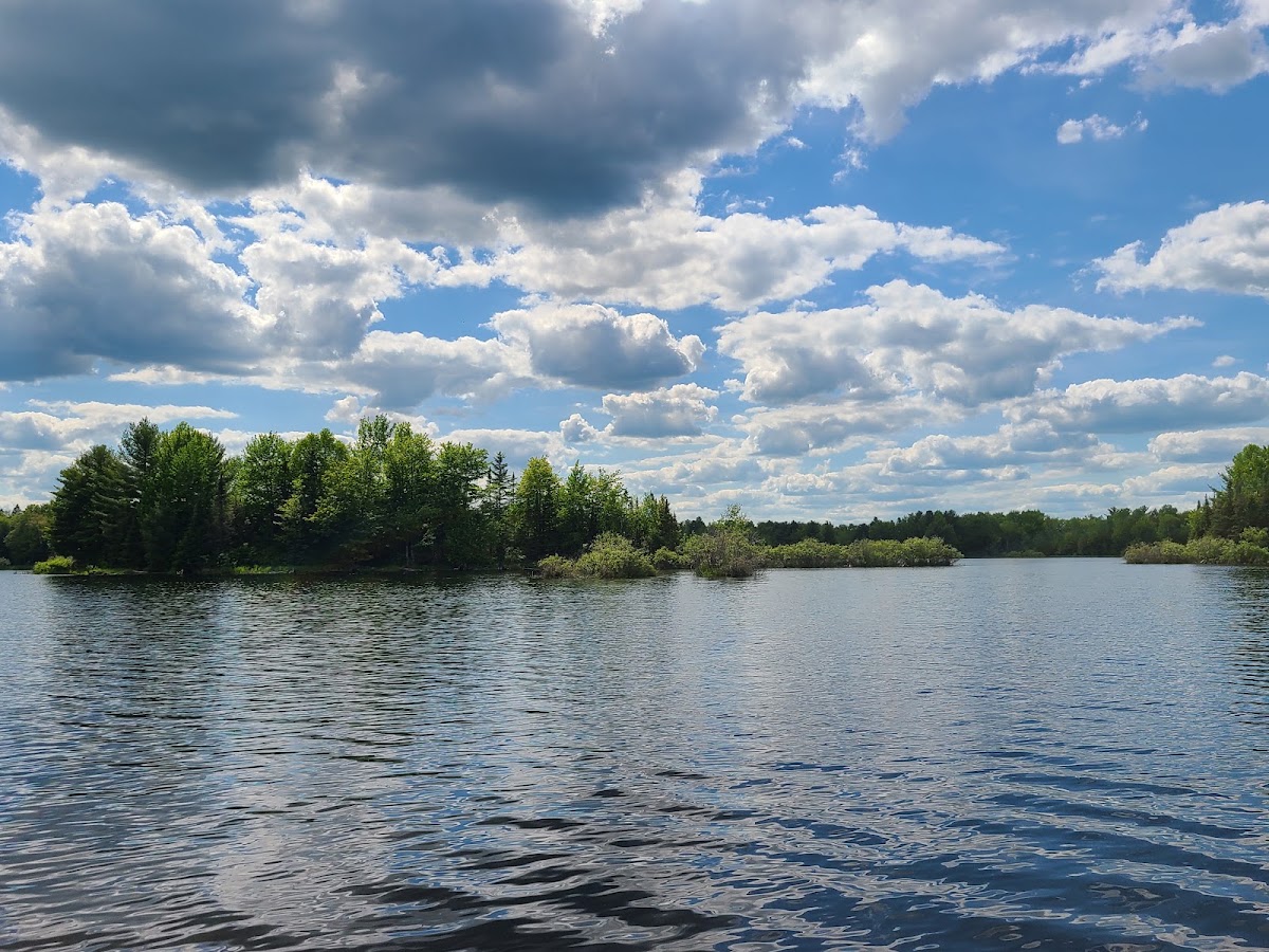 Willow Flowage