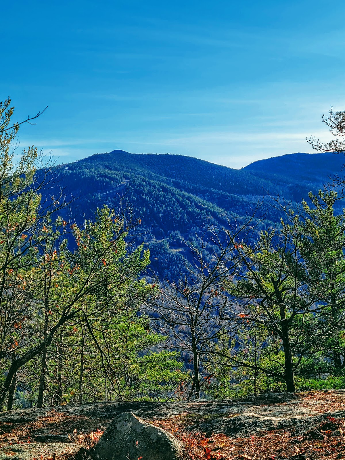 Mount Stanton Trail
