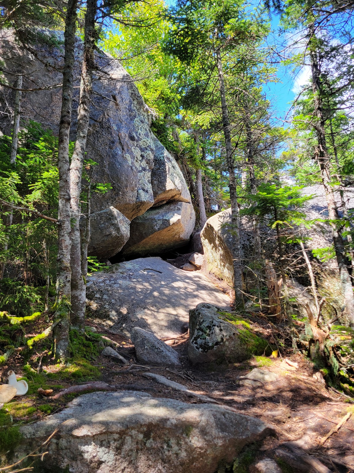 McCrillis Trail