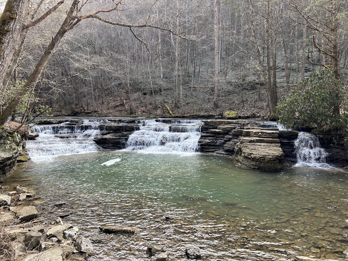Turkey Loop Road and Trail