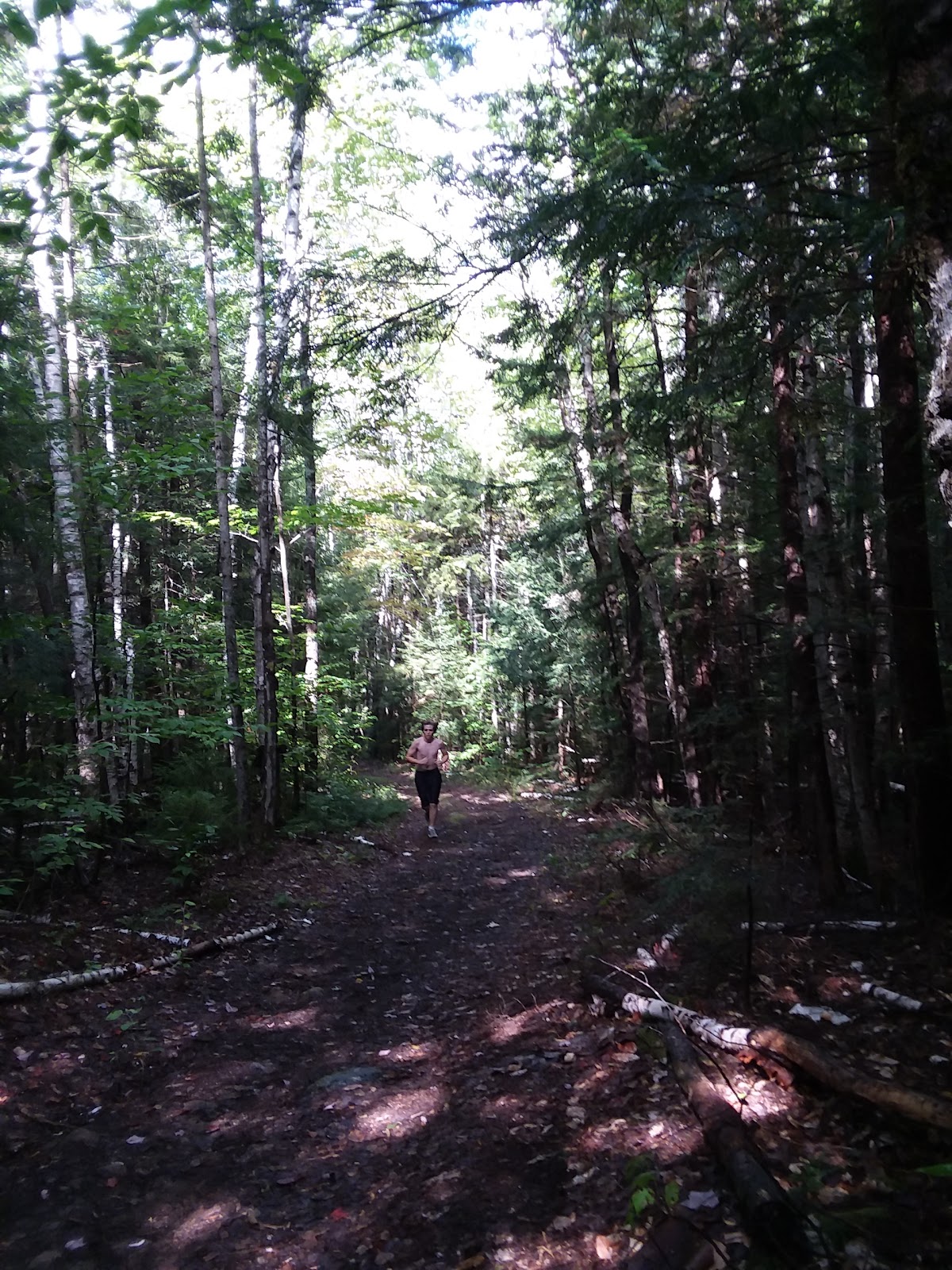 Pine Mountain Trail