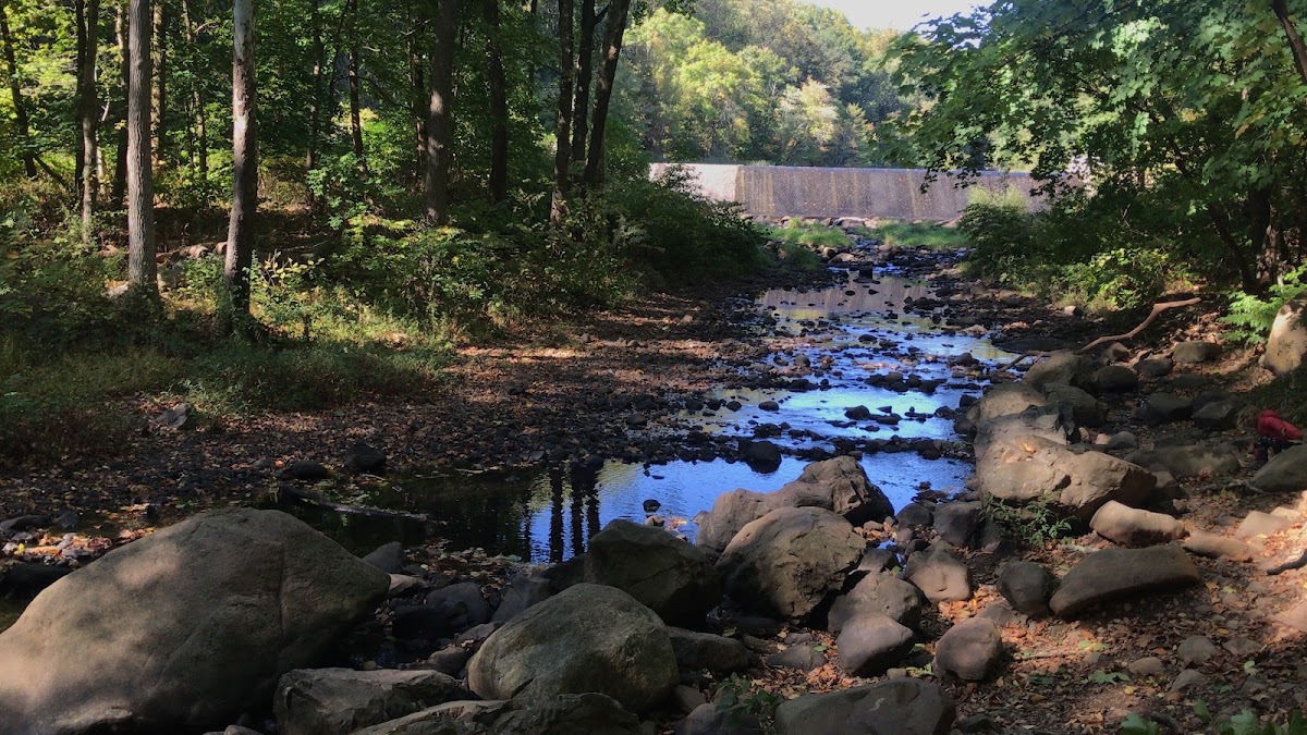 Rahway River