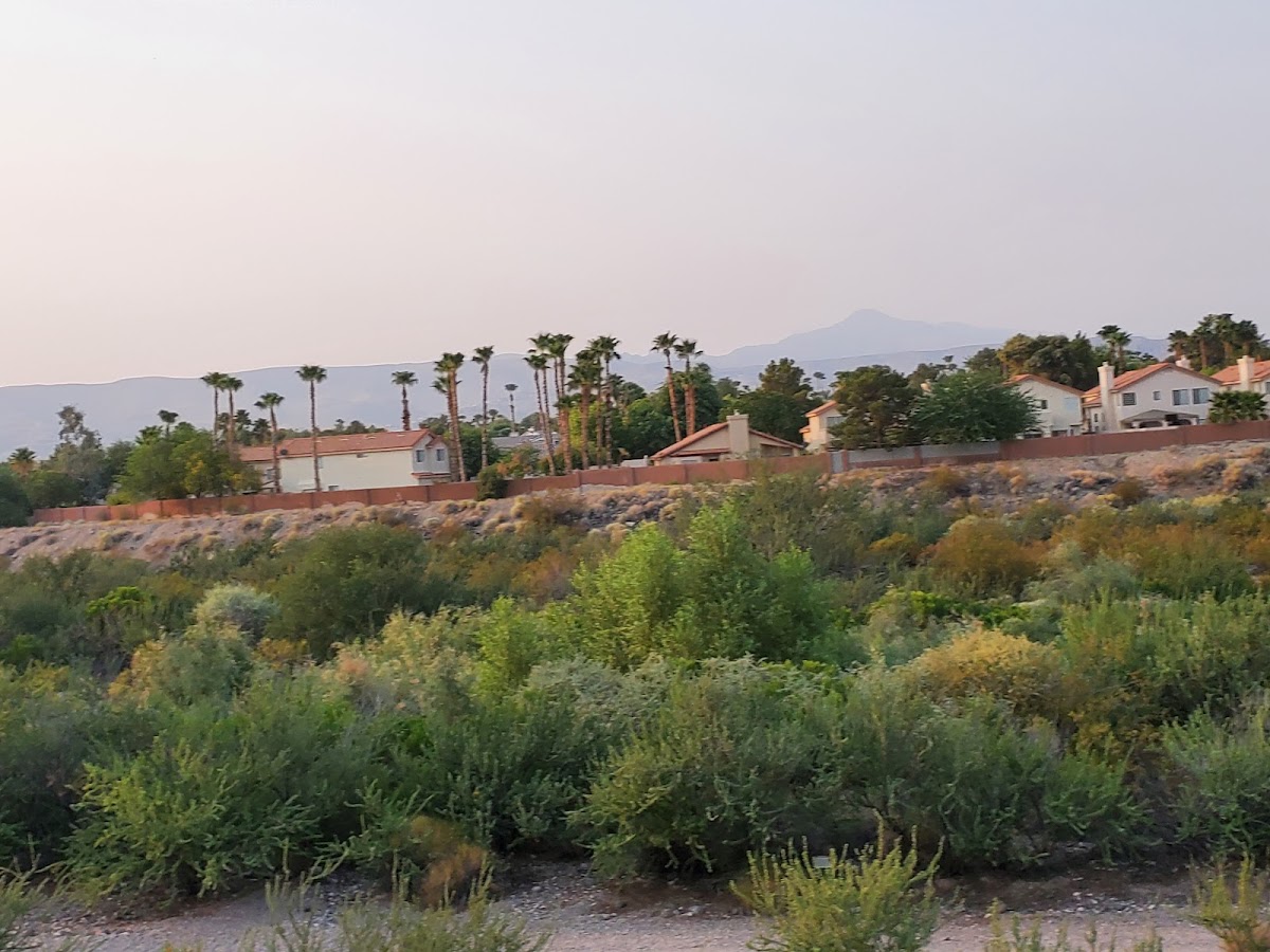 Pittman Wash