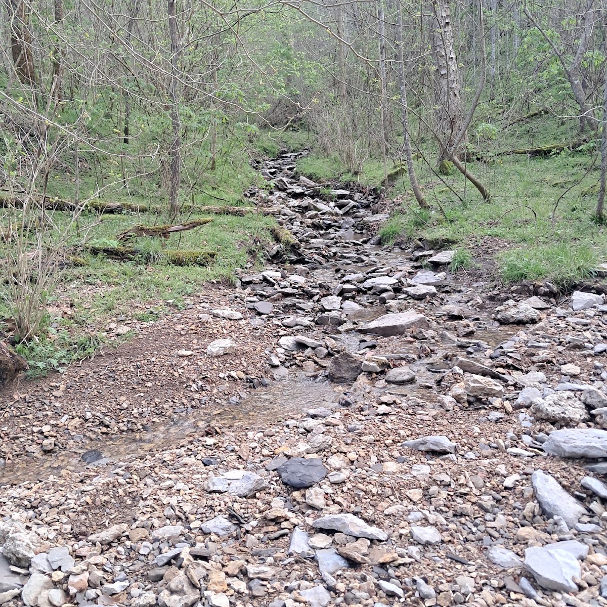 Blackburn Fork River