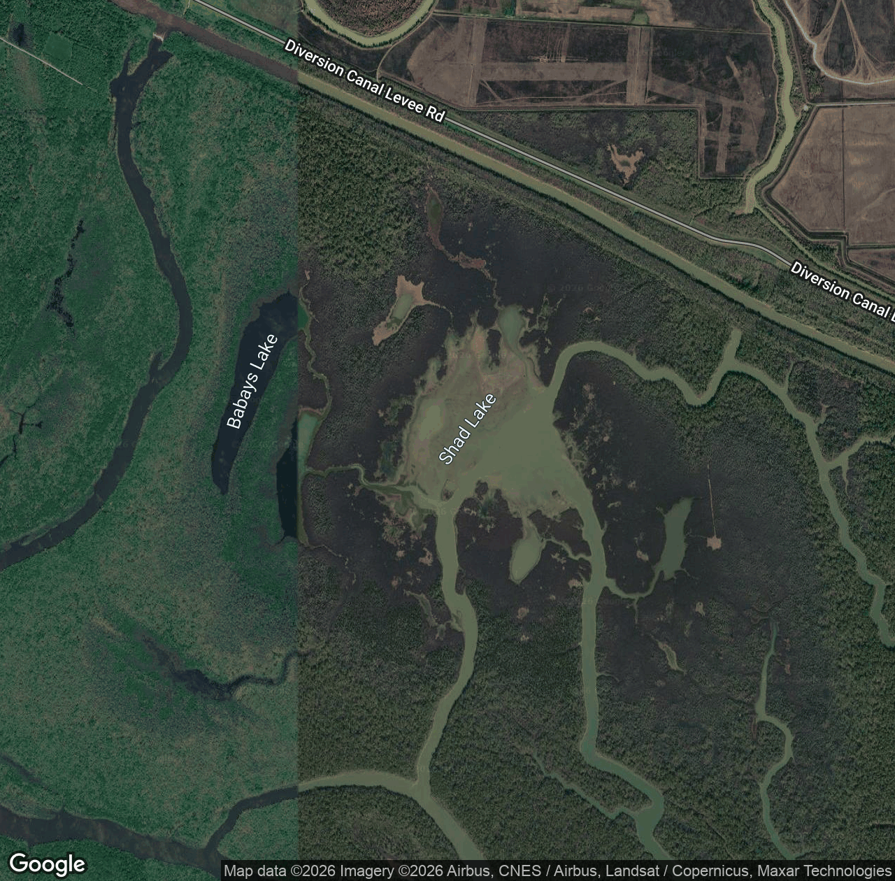 Shad Lake