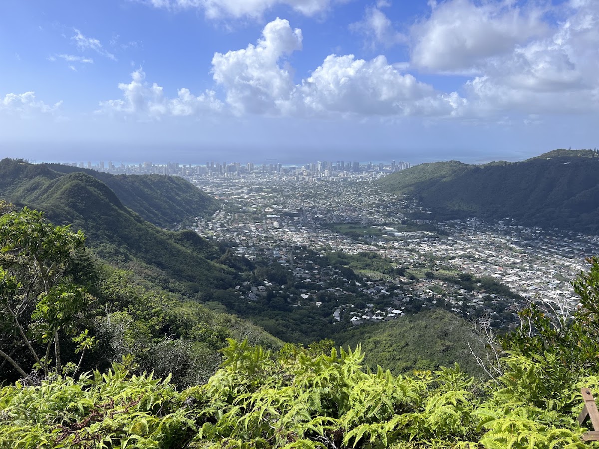 Waahila Mountain Bike Route