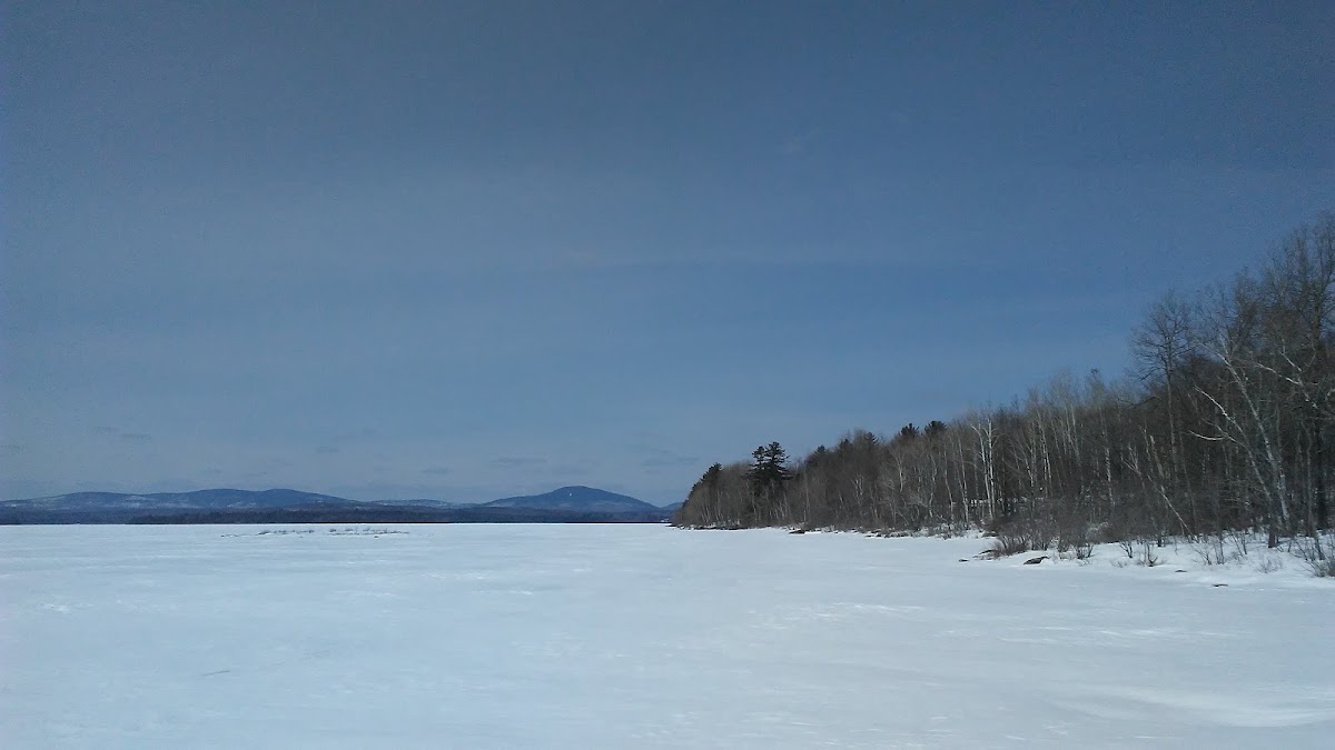Wood Pond
