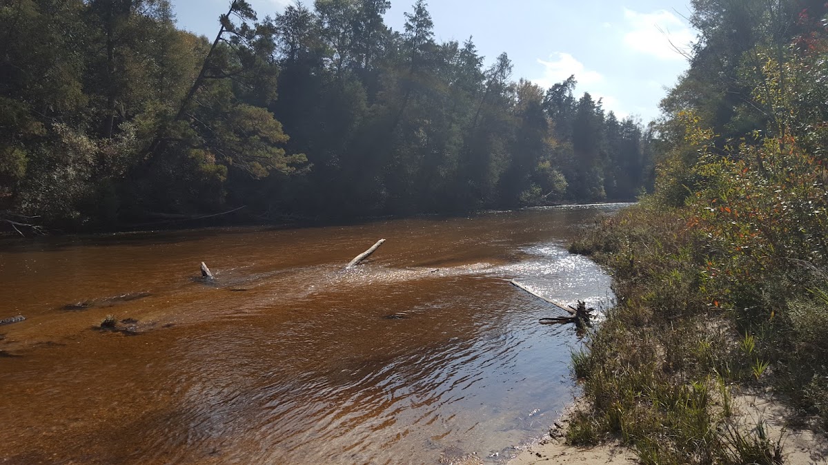 Big Escambia Creek