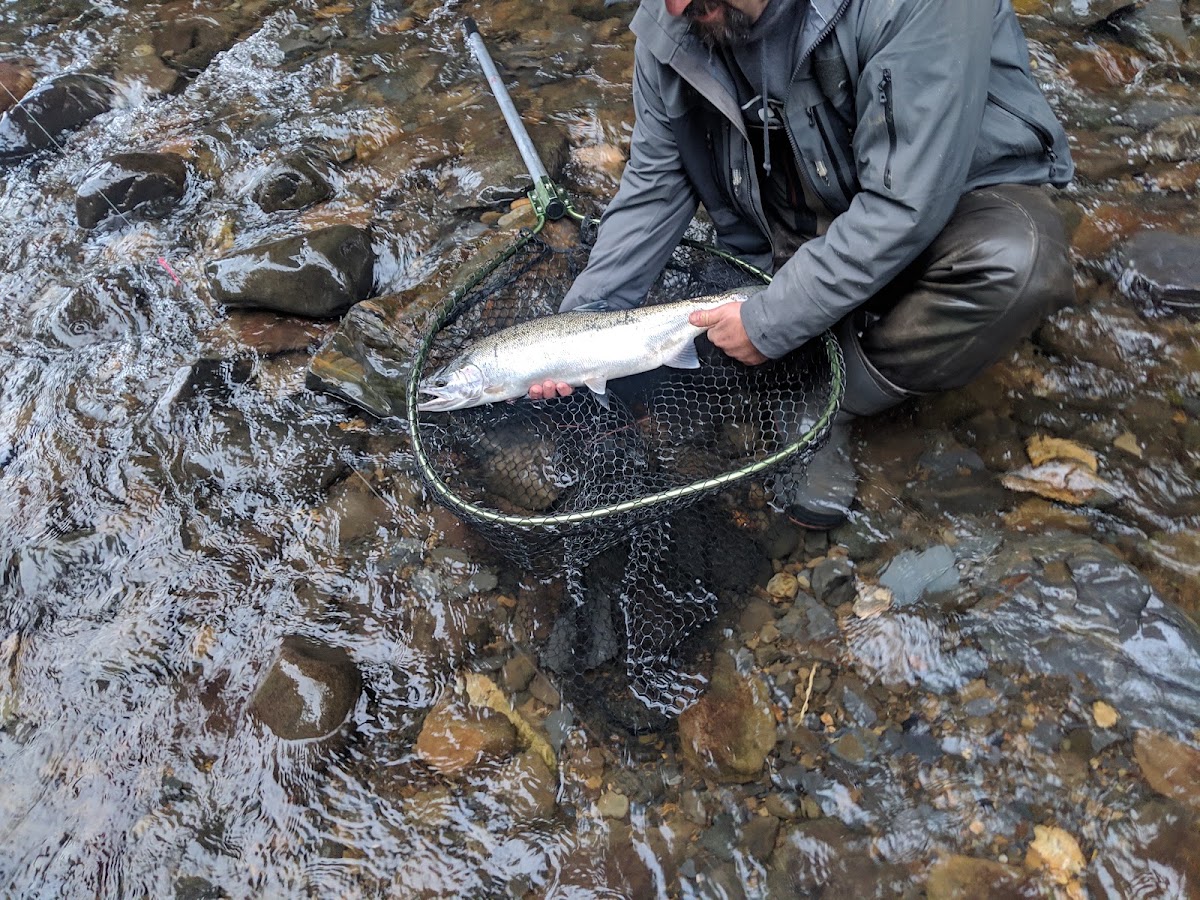 North Fork Nehalem River