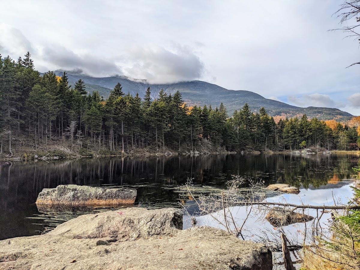 Lost Pond Trail