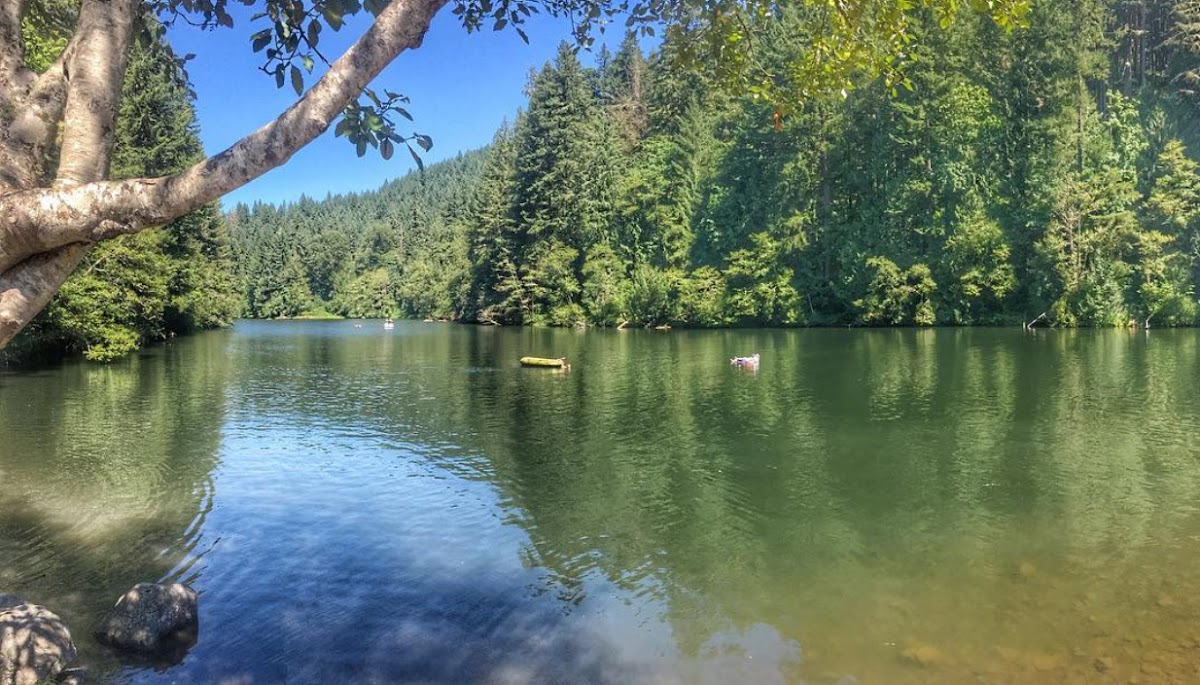 North Fork Clackamas River