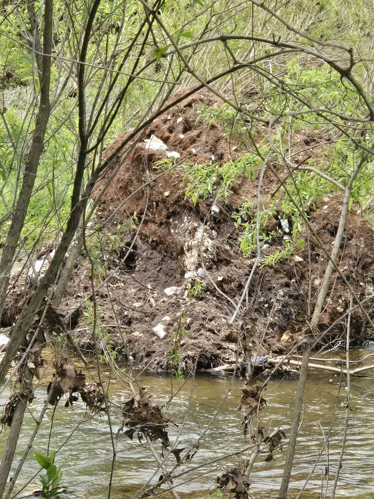 Joachim Creek