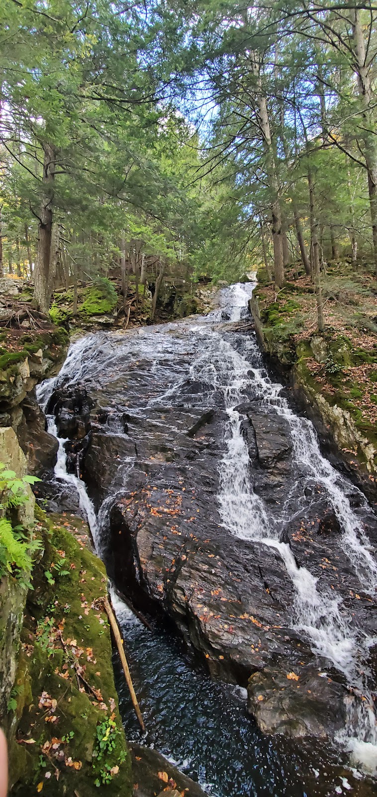 Kent Brook Trail