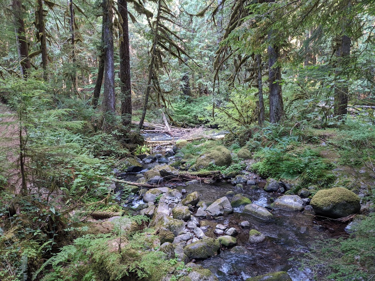 Salmon River