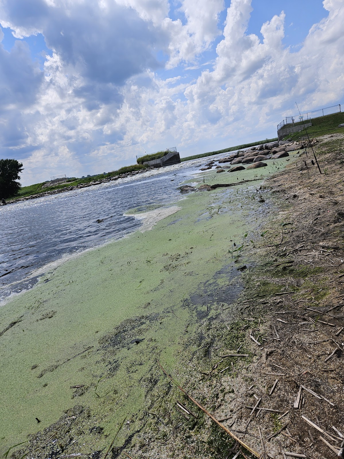 Marsh Lake