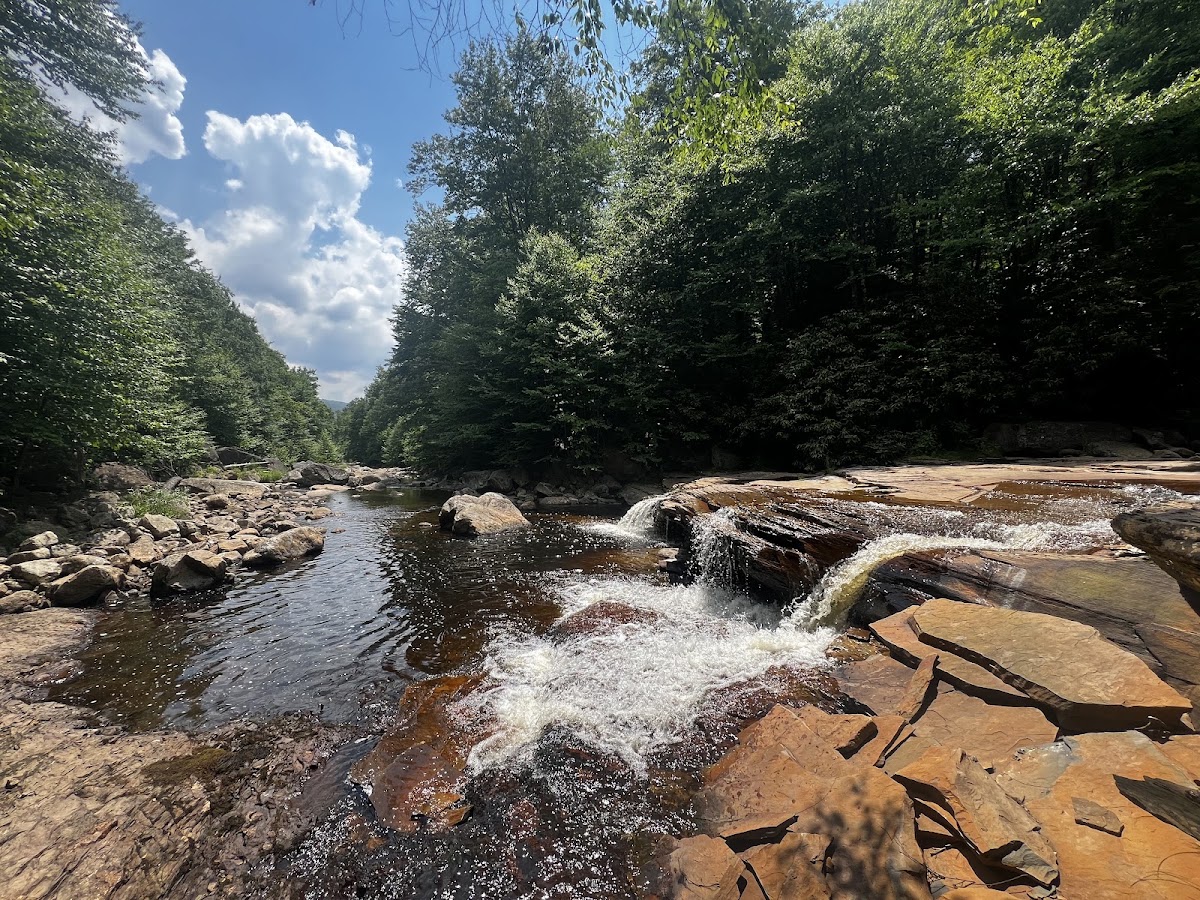 Fisher Spring Run