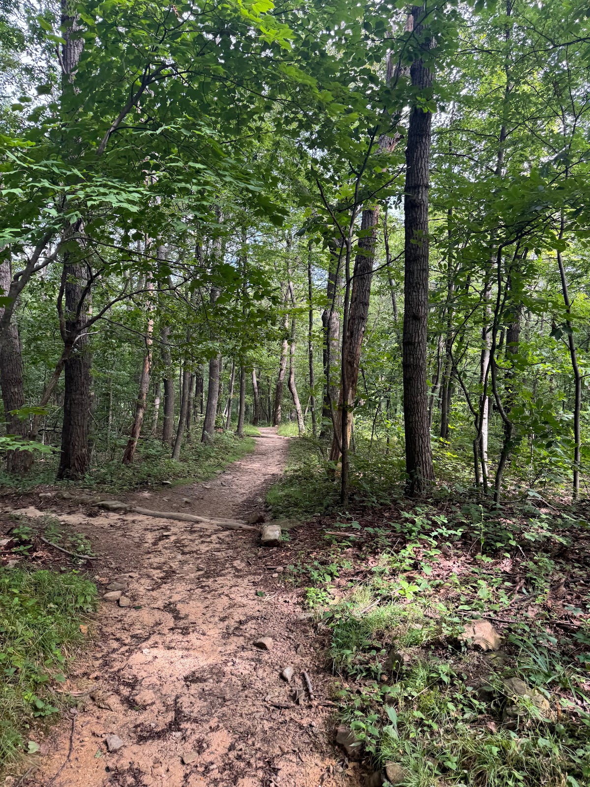 Compton Run