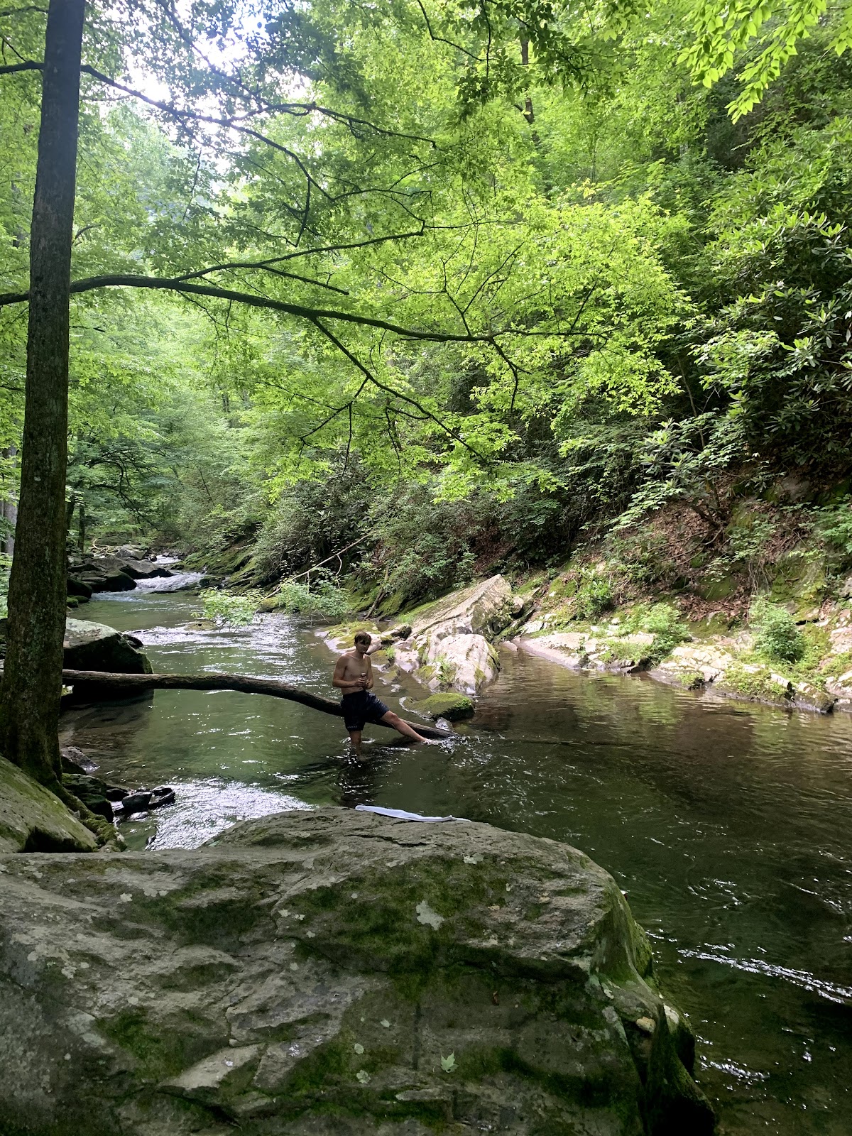 Slickrock Creek Trail