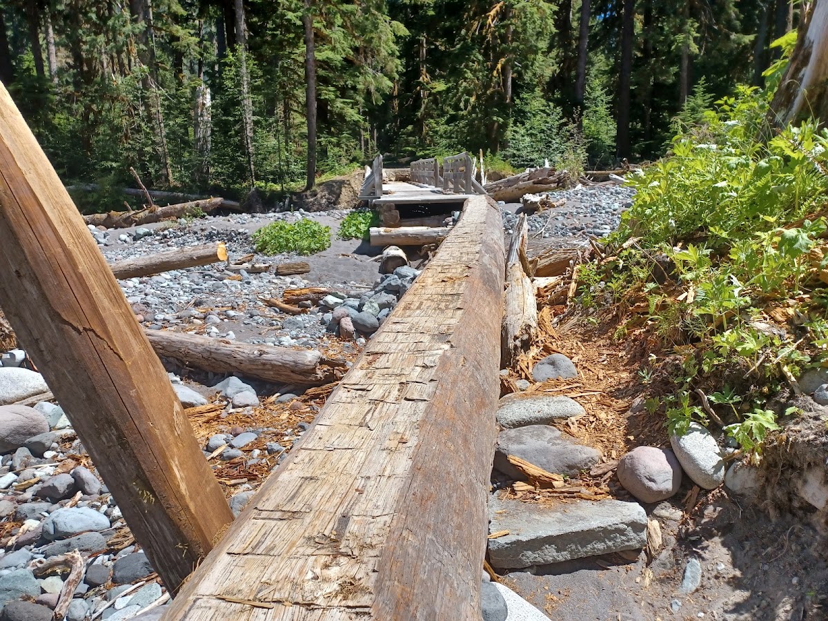 Carbon River Trail