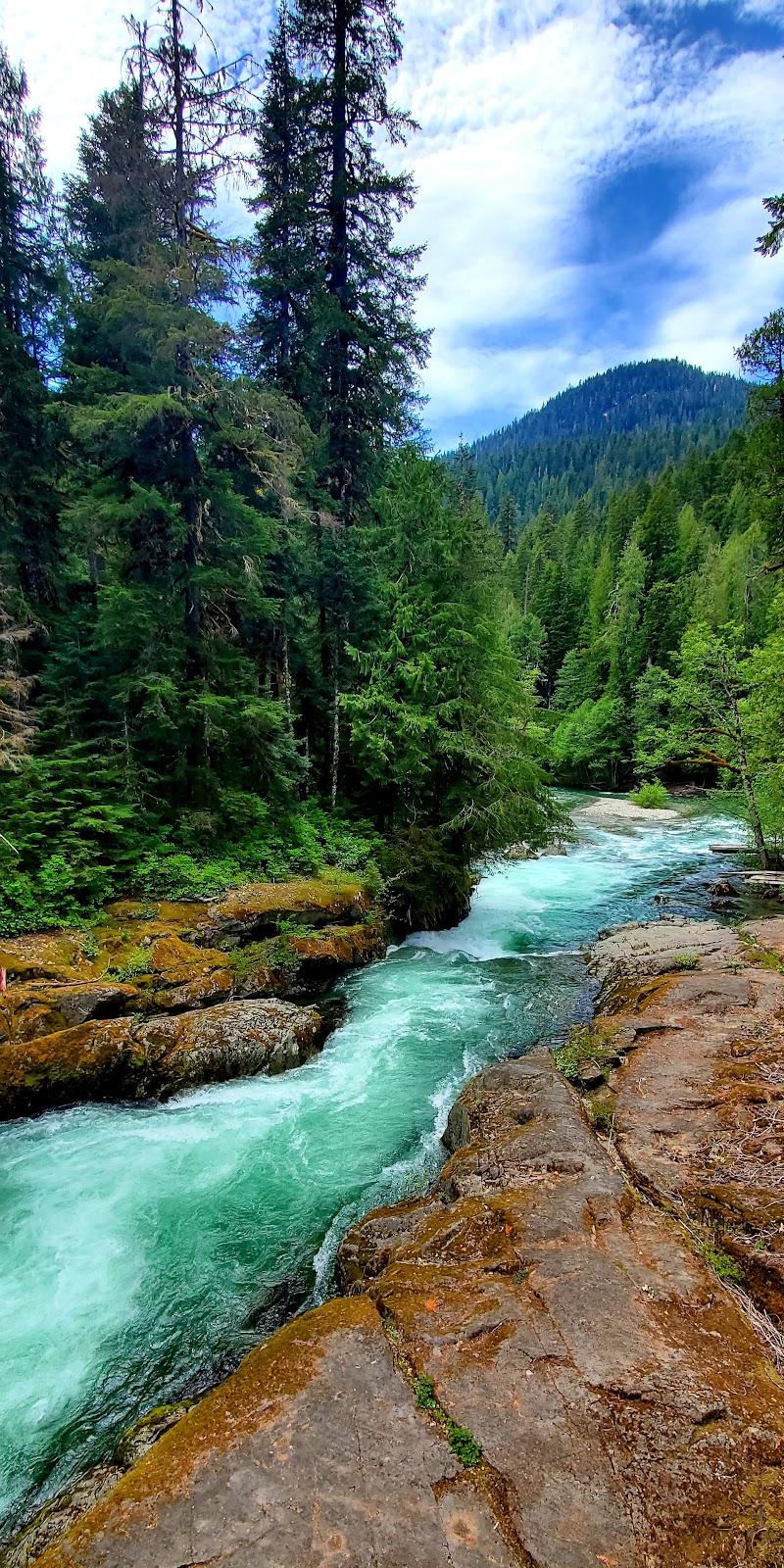 Ohanapecosh River