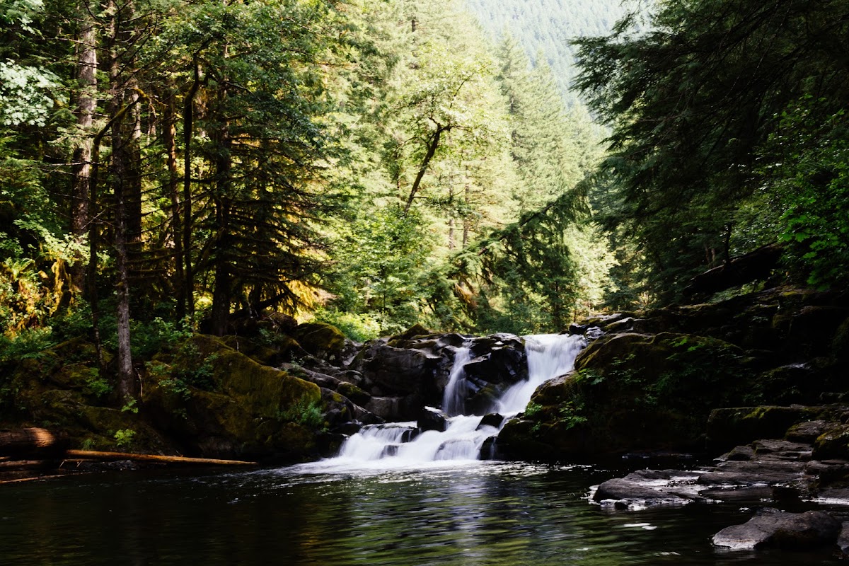 Siouxon Creek