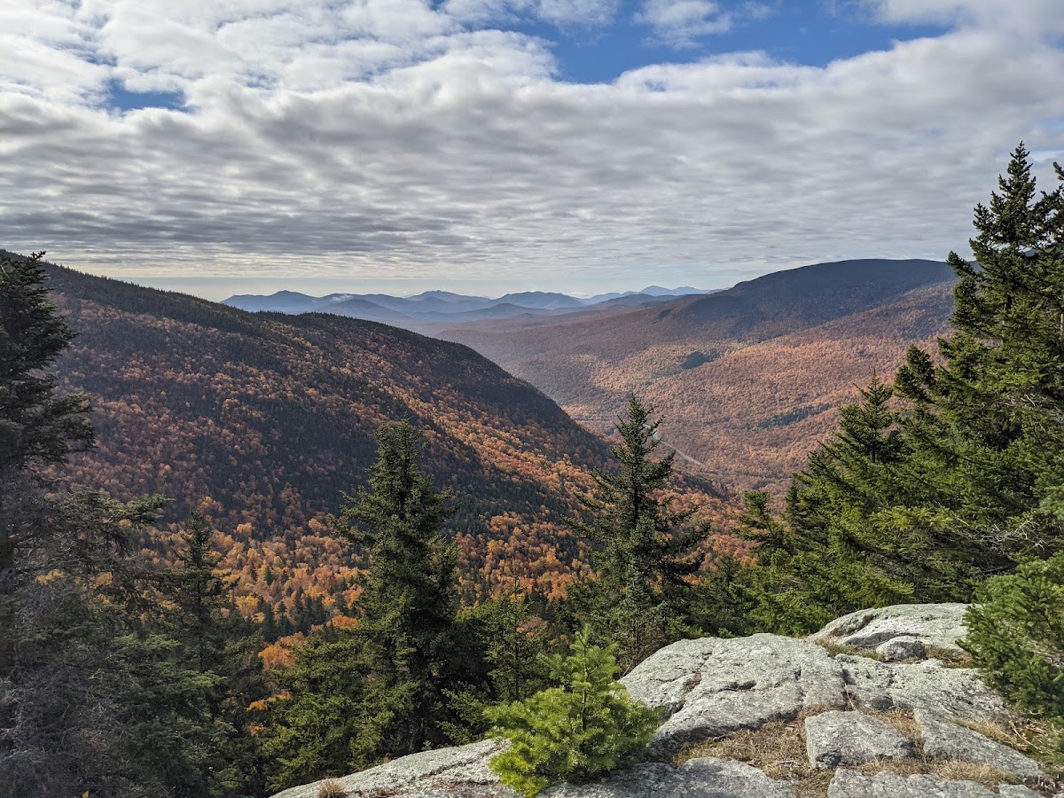 Wildcat Ridge Trail