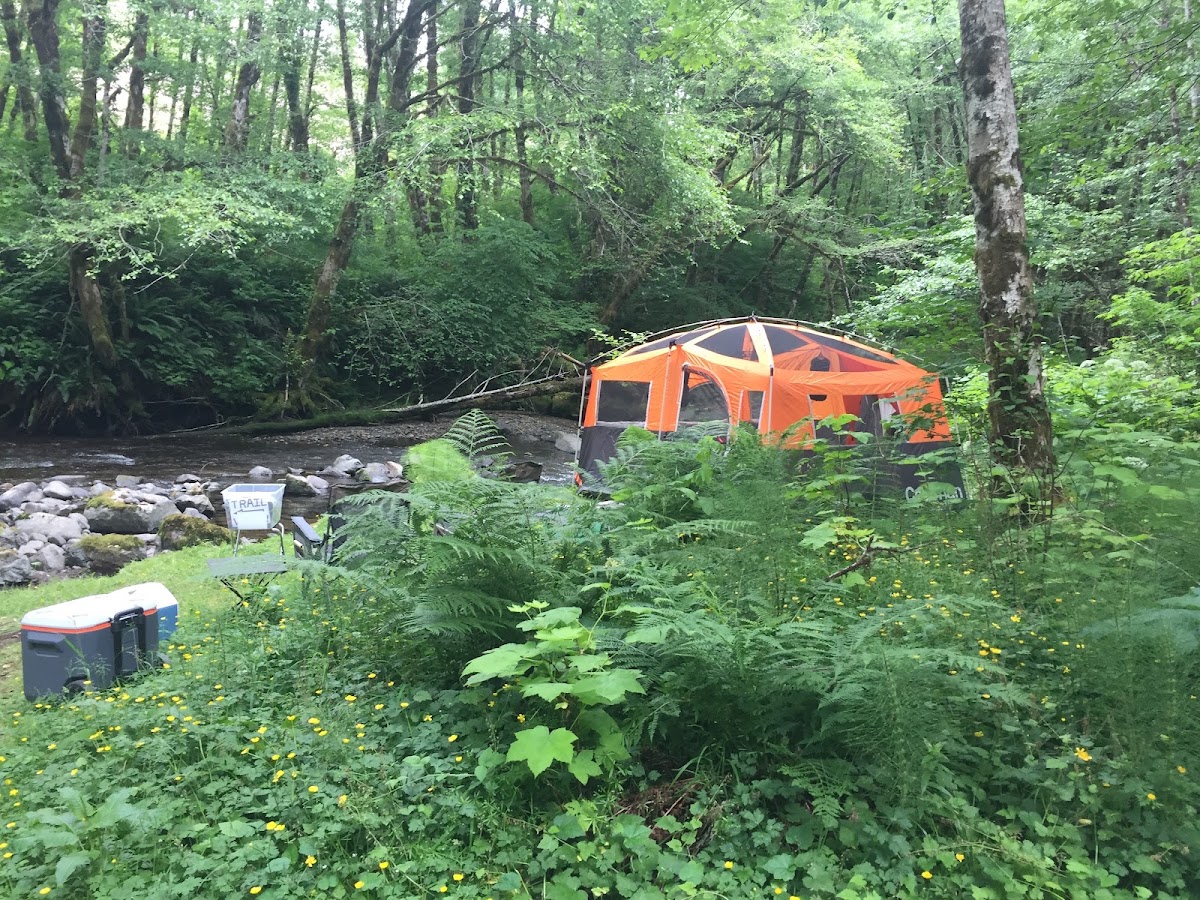 North Fork Trask River