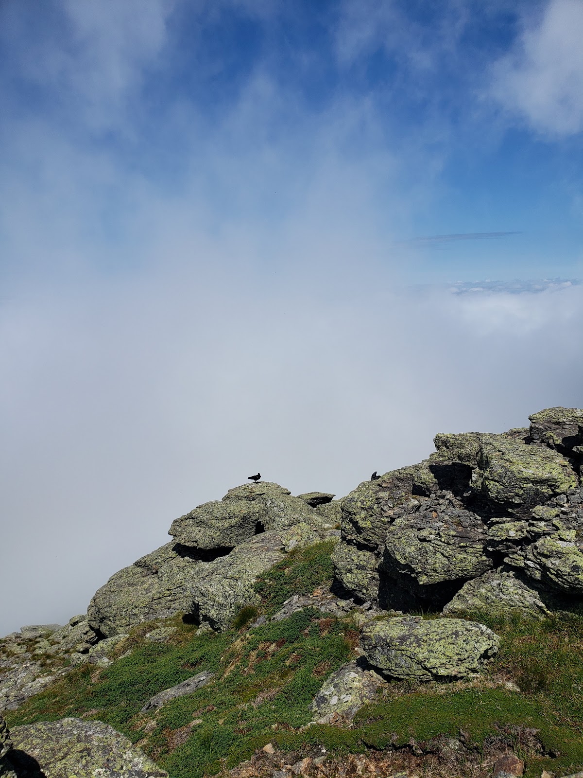 Garfield Ridge Trail