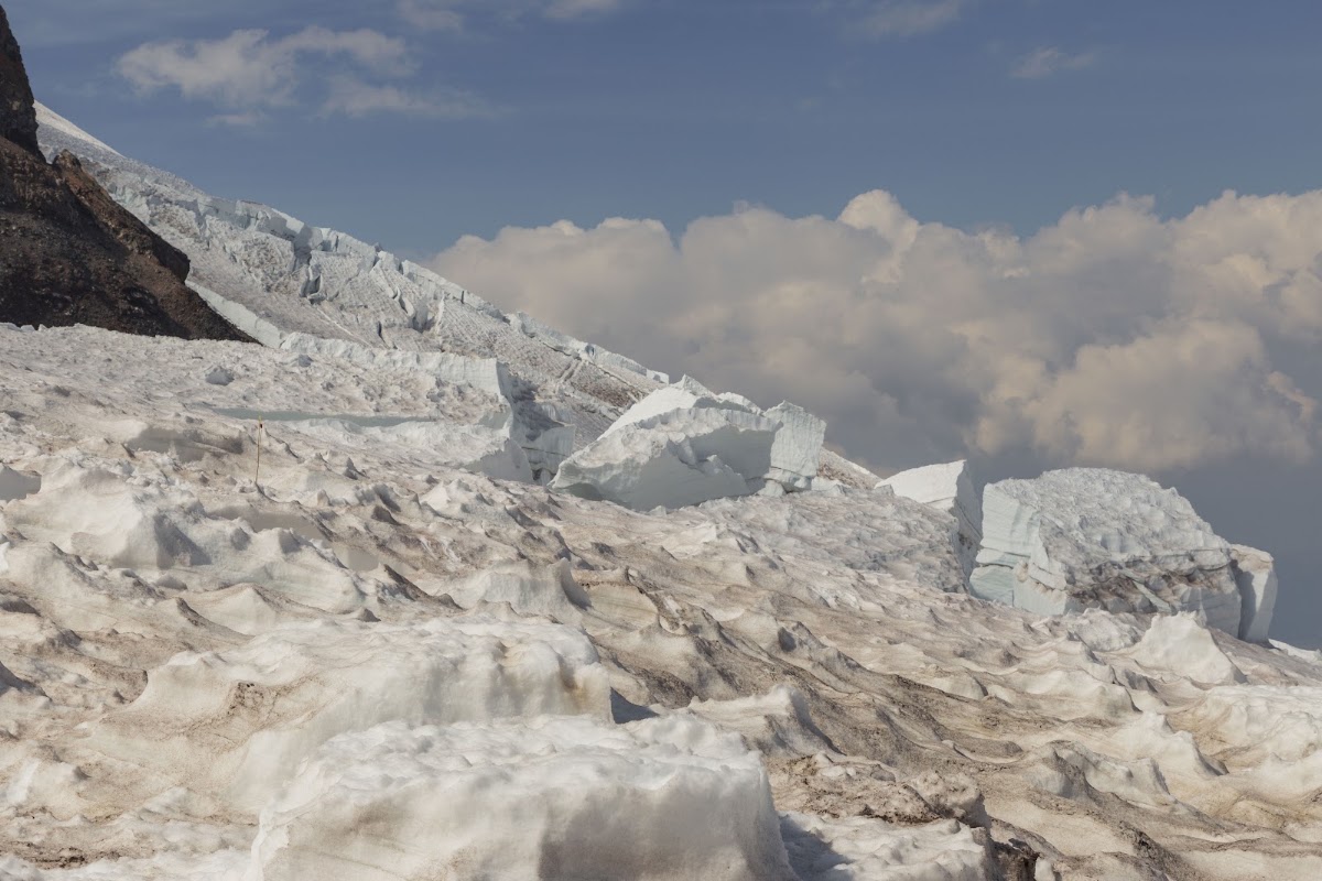 Ingraham Glacier