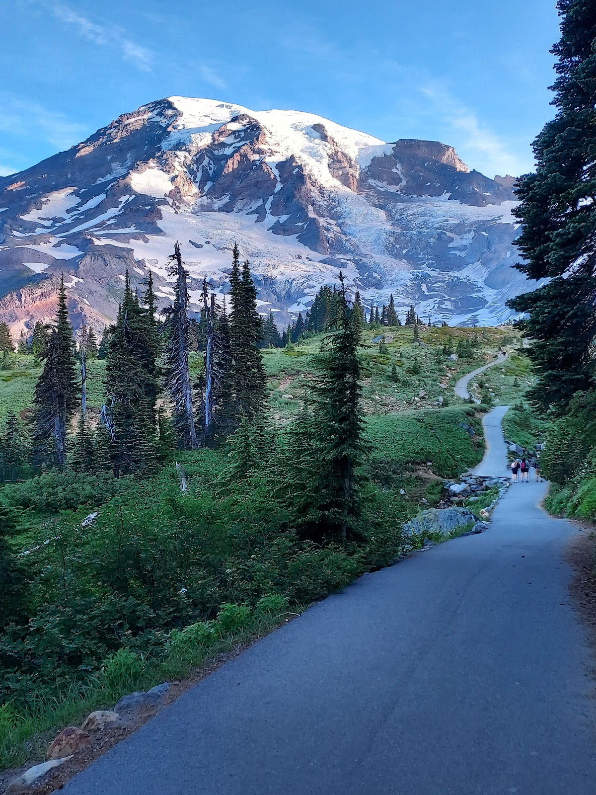 Nisqually Glacier