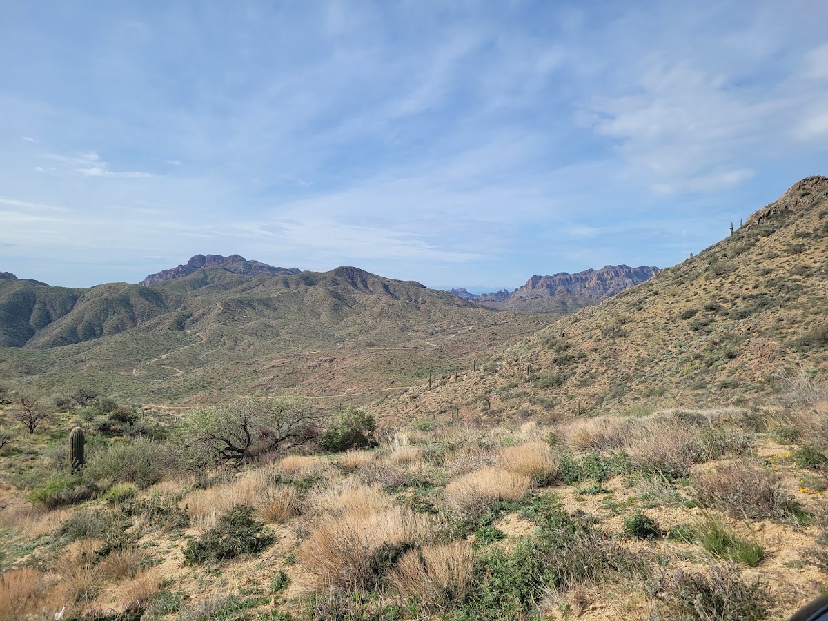 Reavis Ranch Trail #109