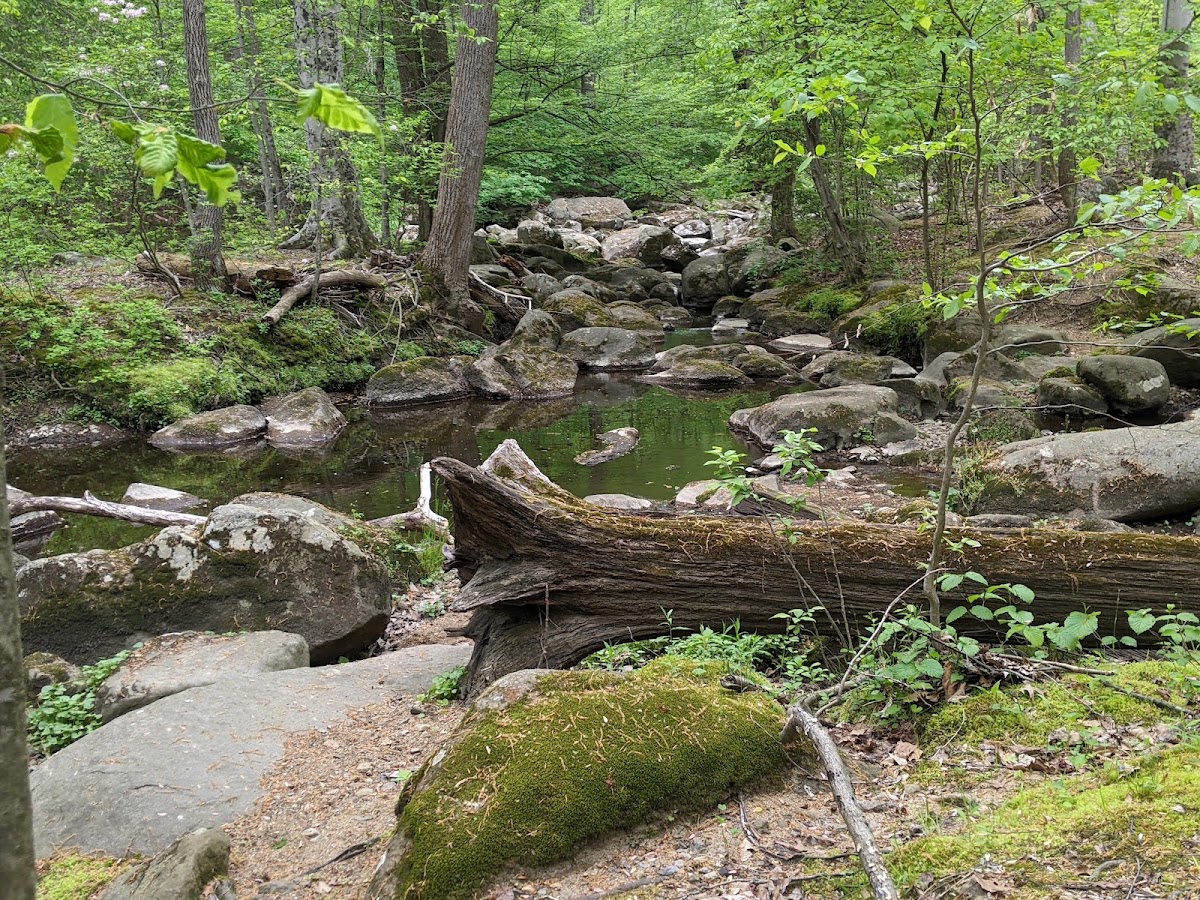 Radnor Park