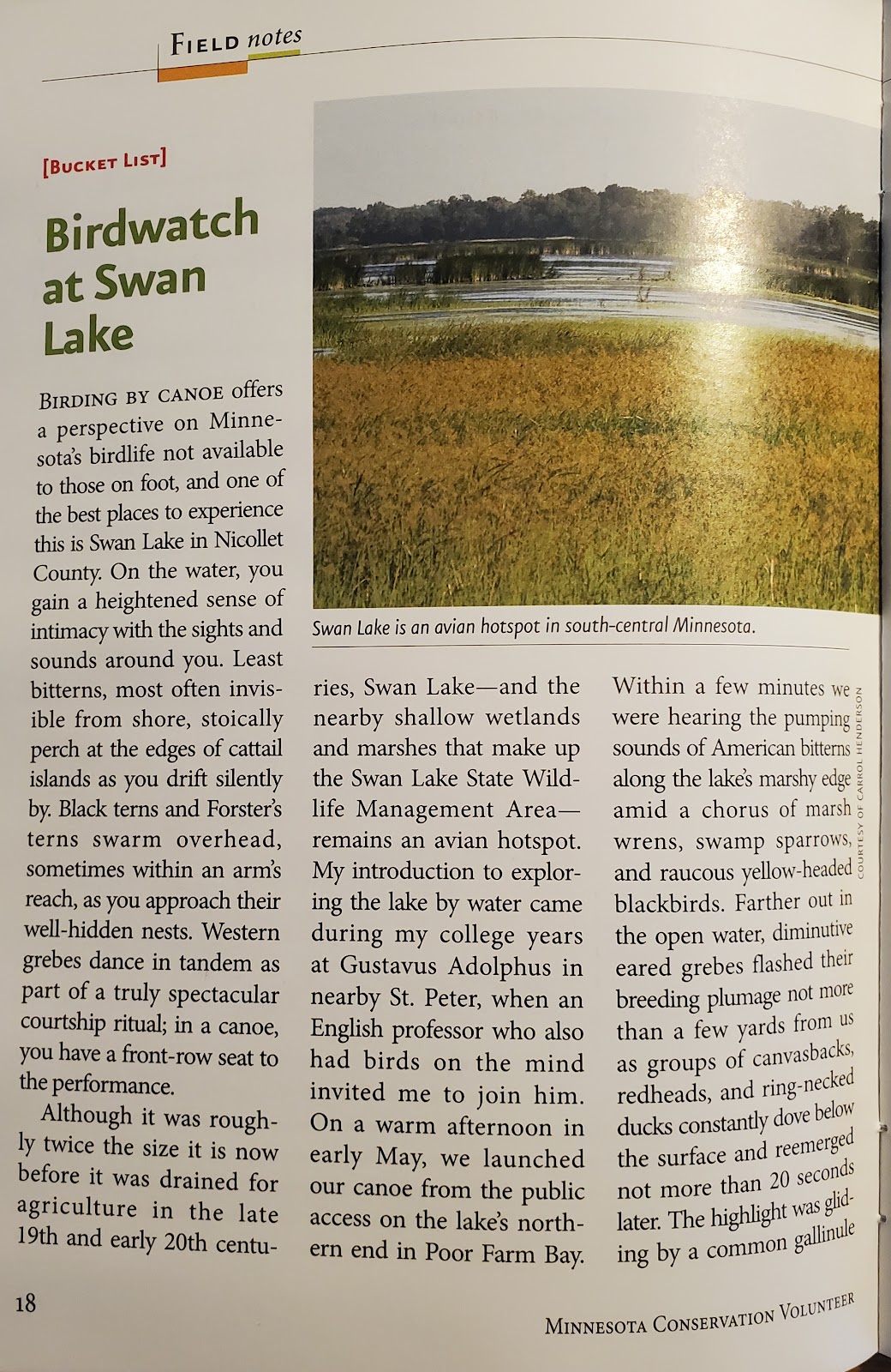 Swan Lake