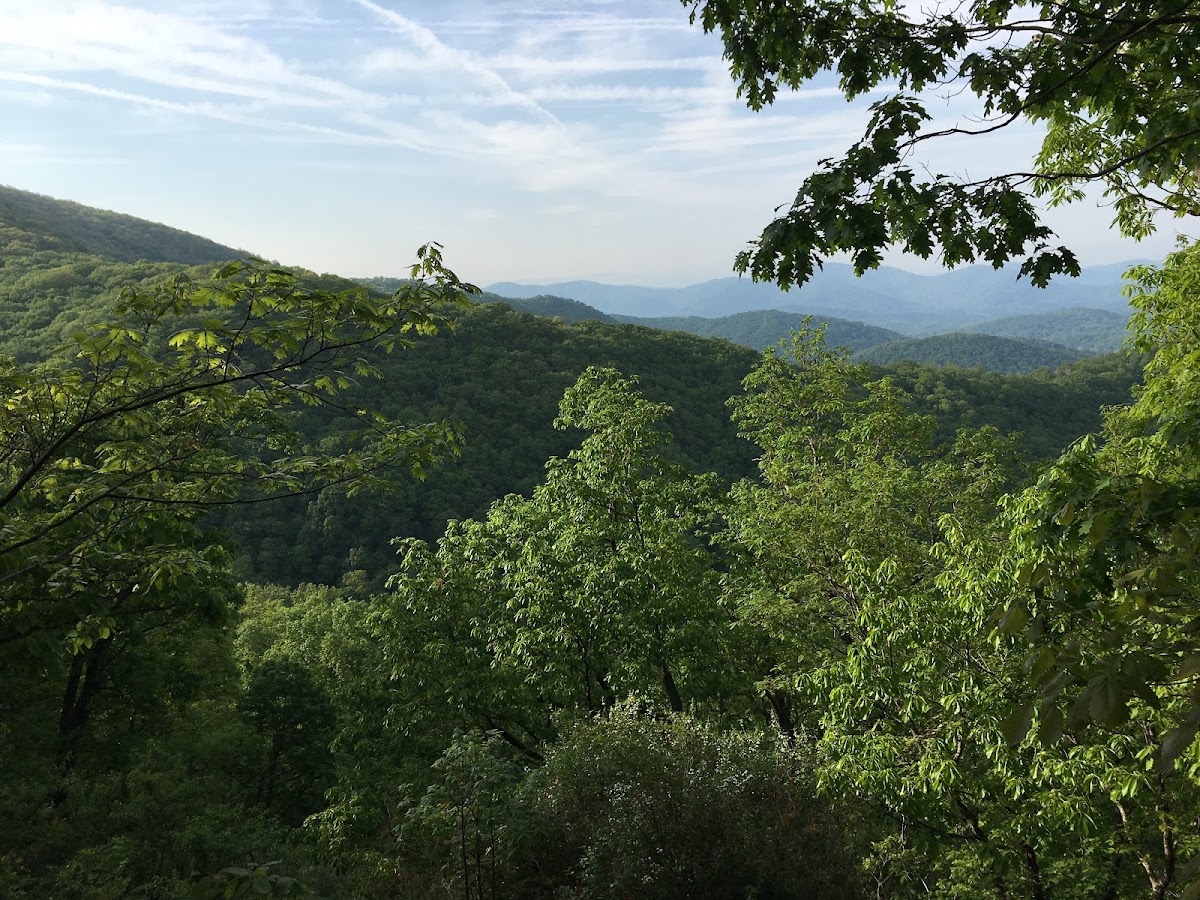 Rattlesnake Lodge Trail