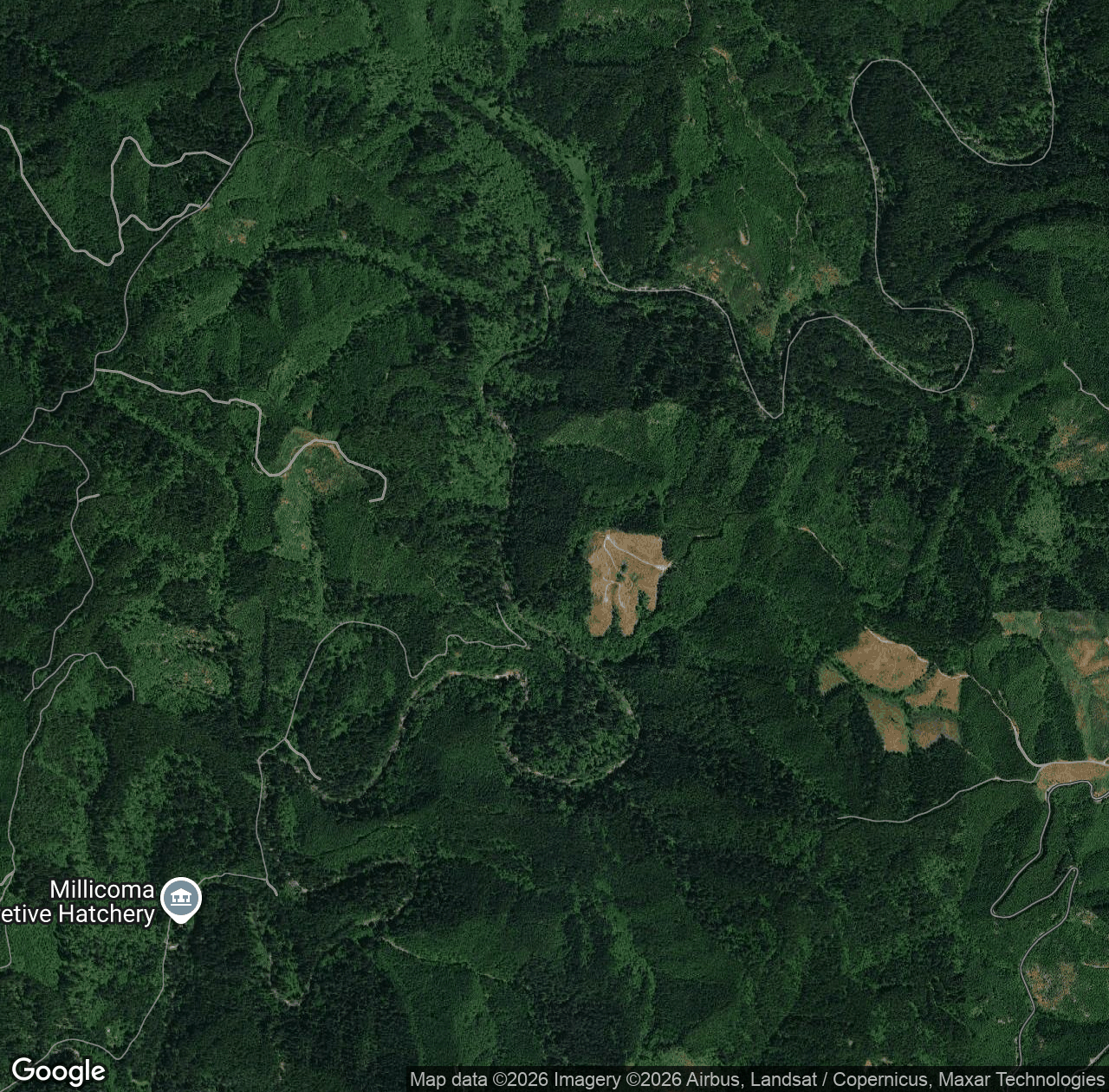 West Fork Millicoma River