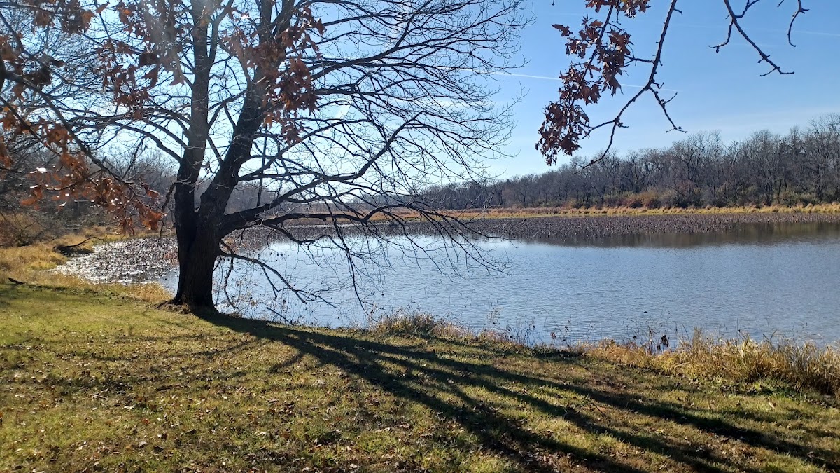 Bobwhite State Park