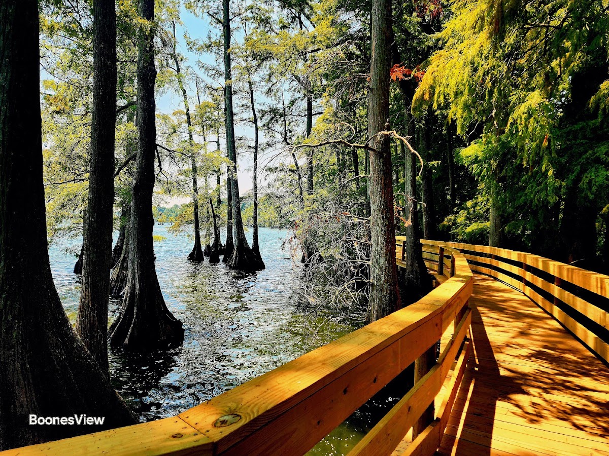 Reelfoot Lake