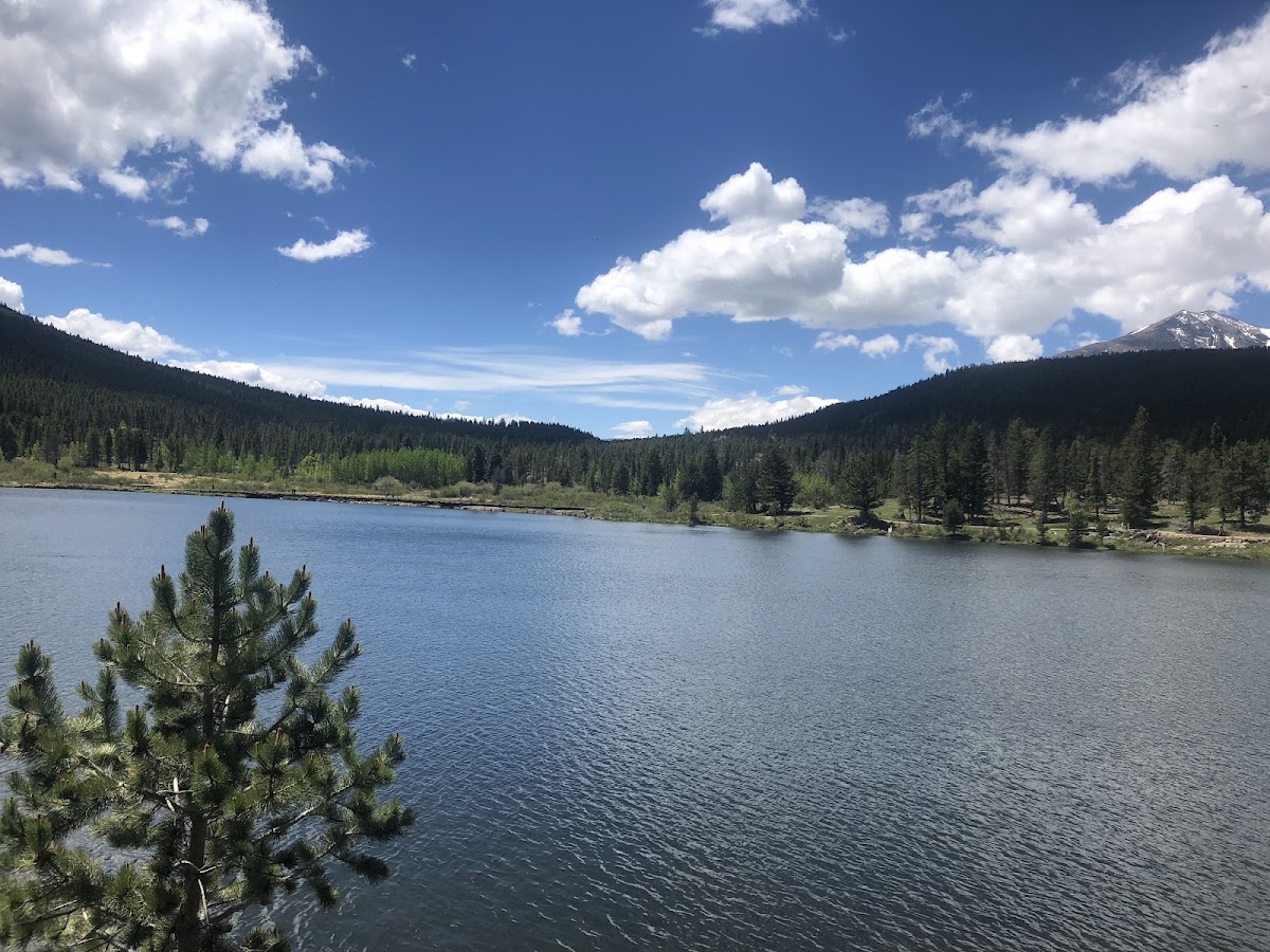 Lily Lake