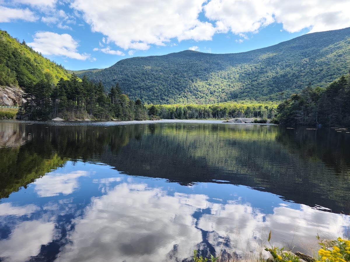 Beaver Pond
