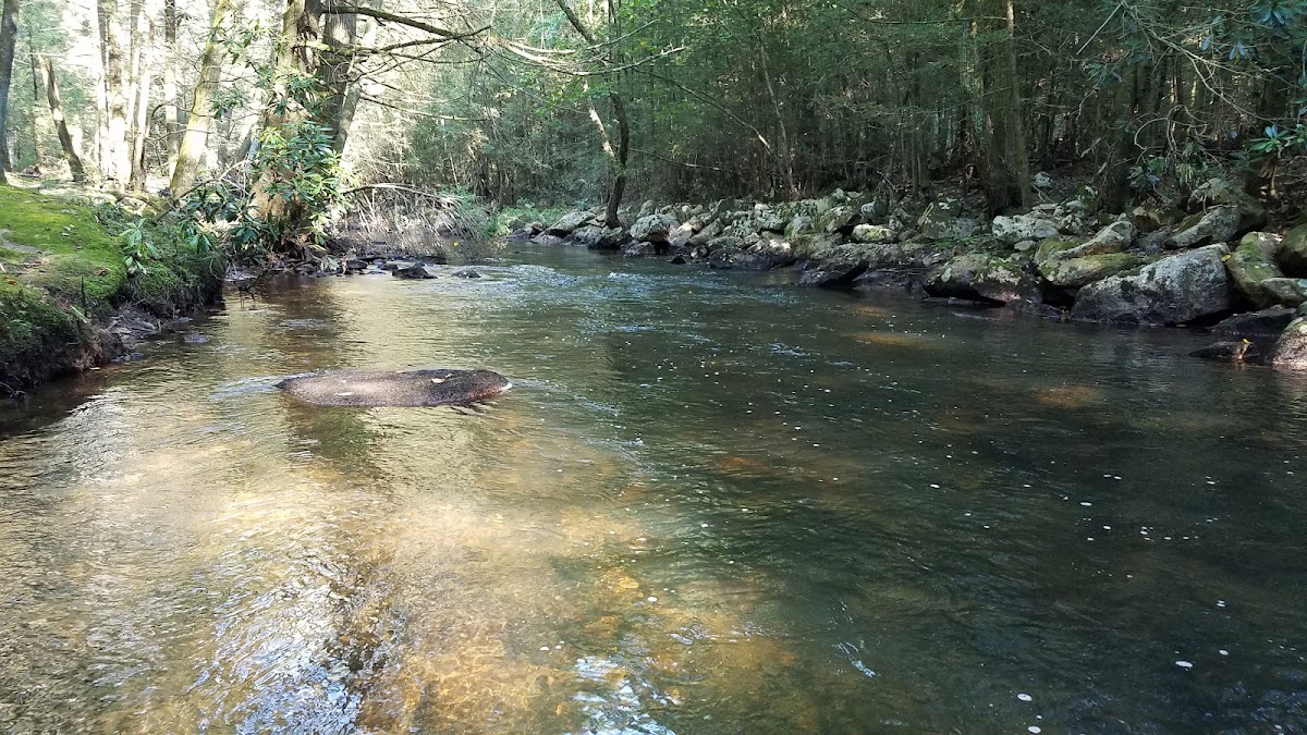 Clark Creek