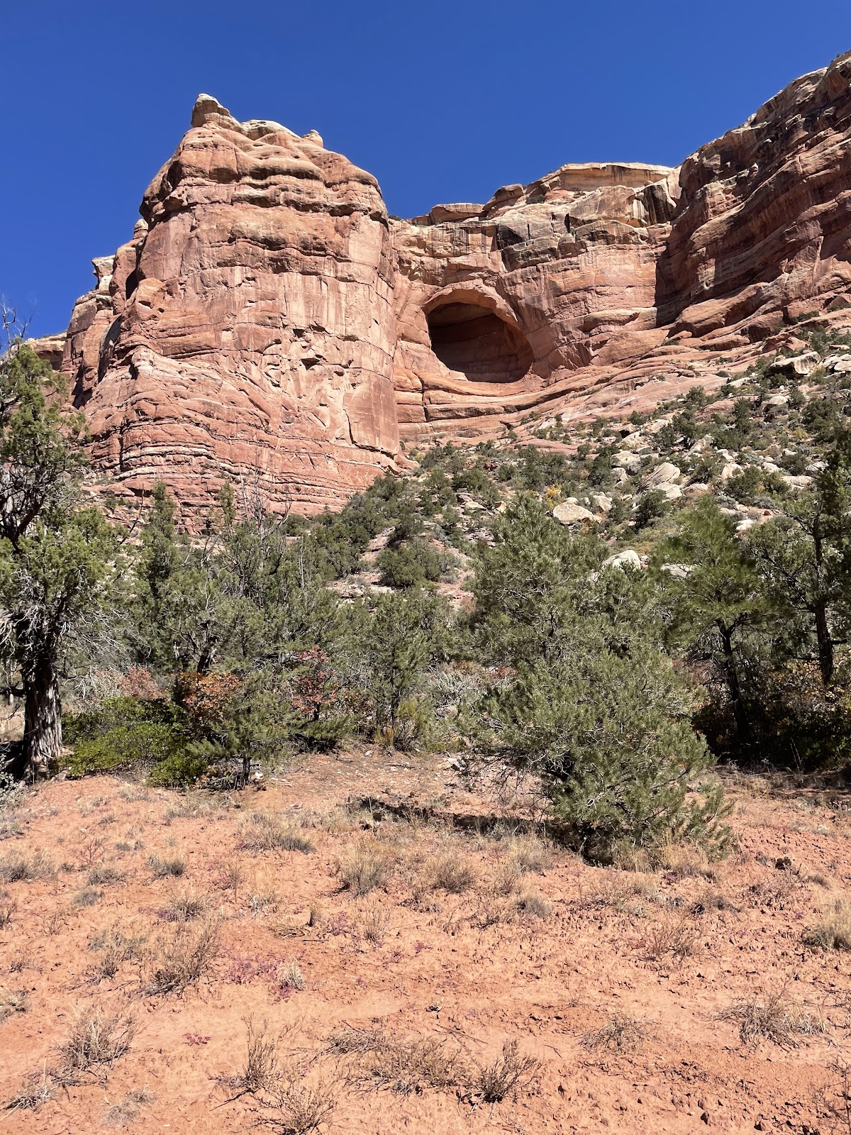 Arch Canyon Camp 1
