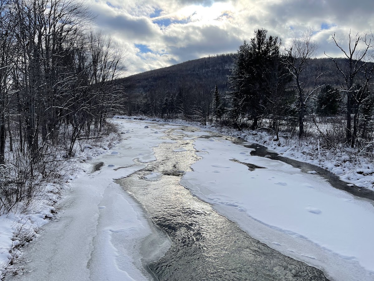 East Branch Nulhegan River