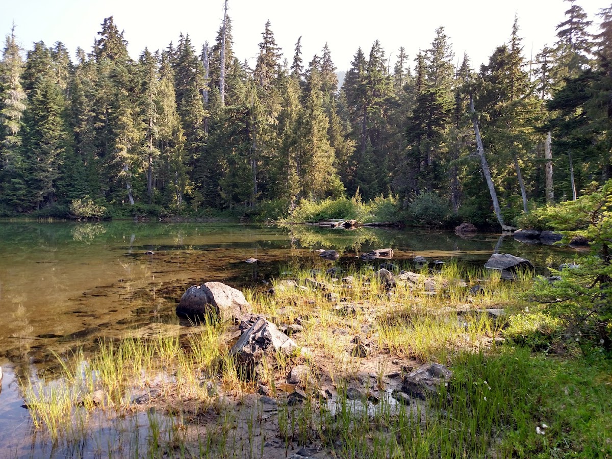 Oliver Lake