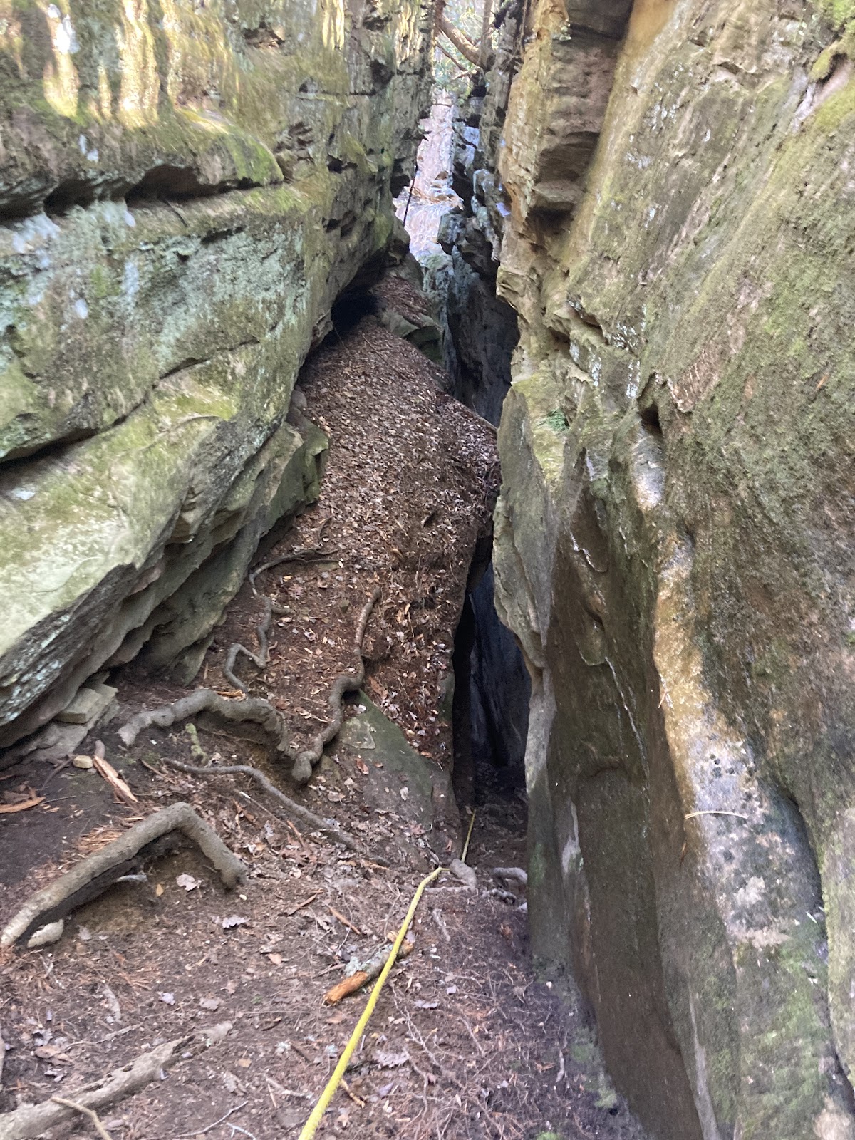Maude's Crack Trail