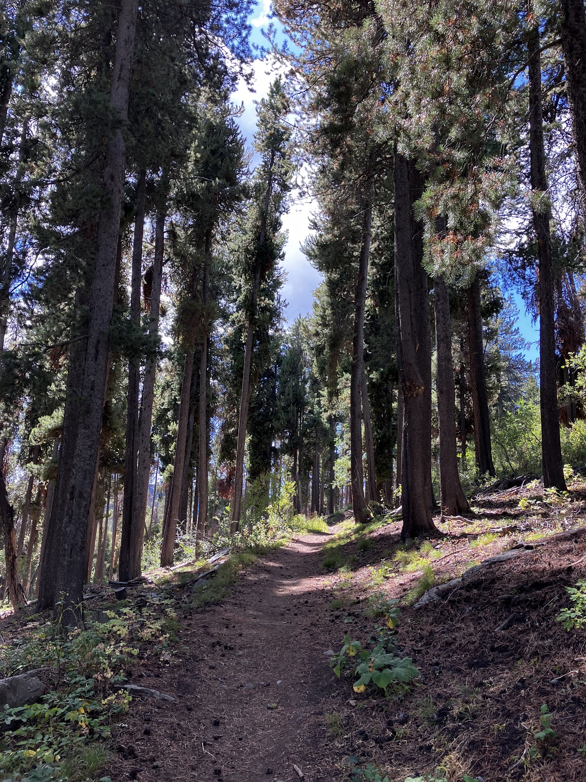 Rock Creek Loop Trail