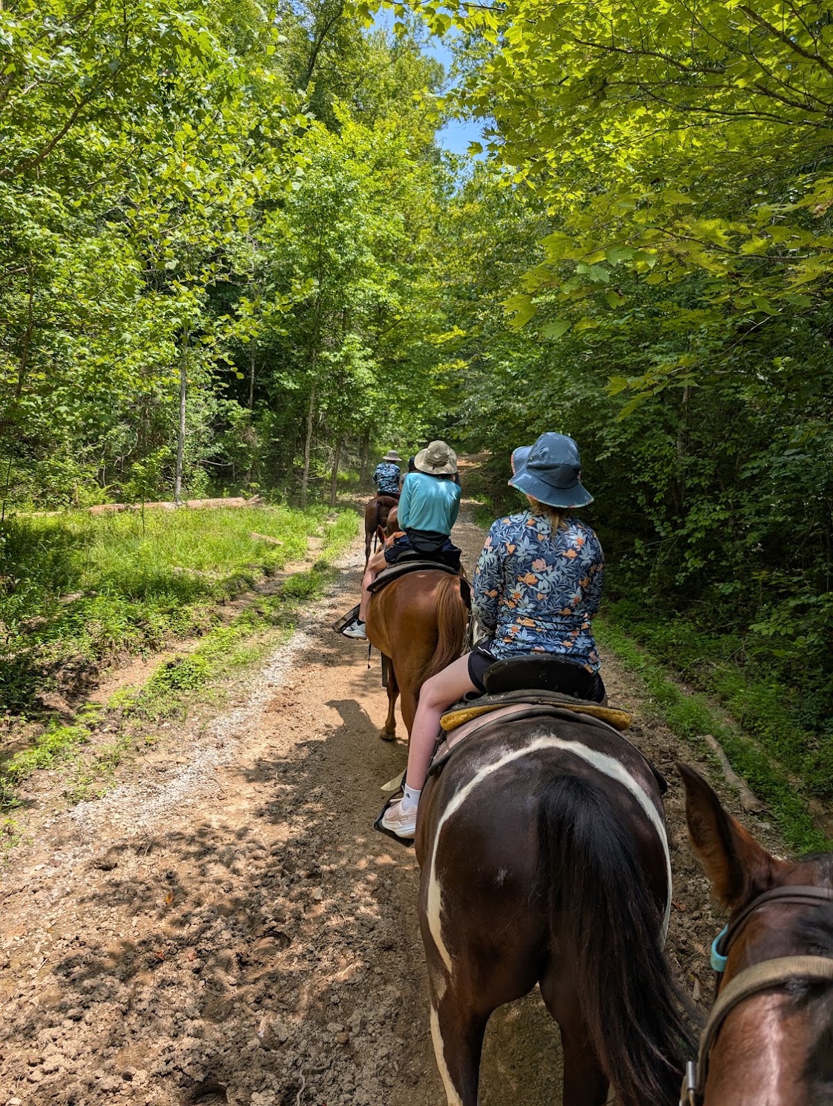Closed Horse Trail