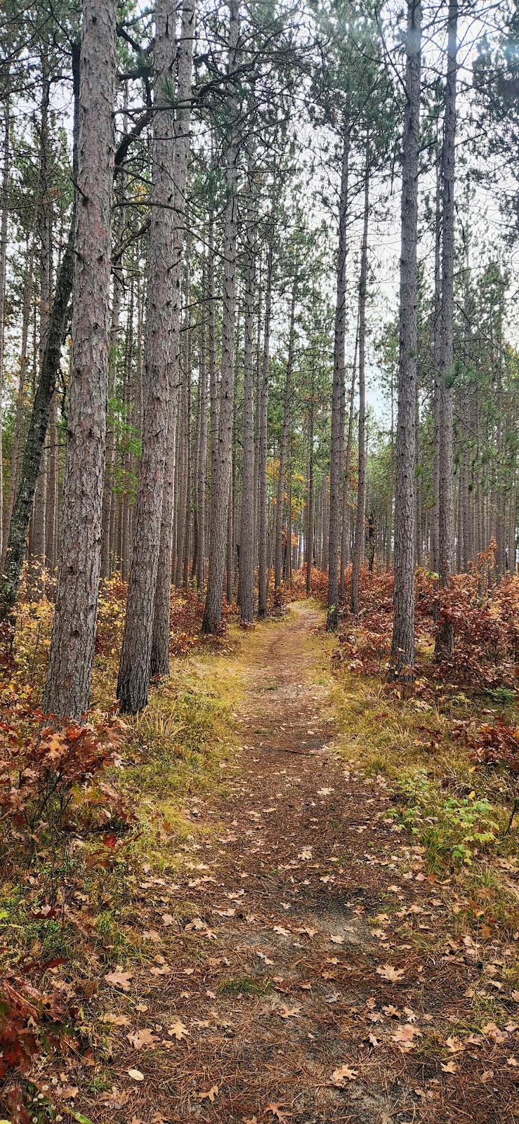 Wolf Creek Hiking Trail