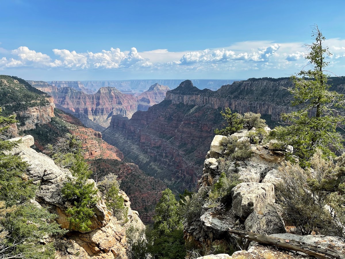 Widforss Trail