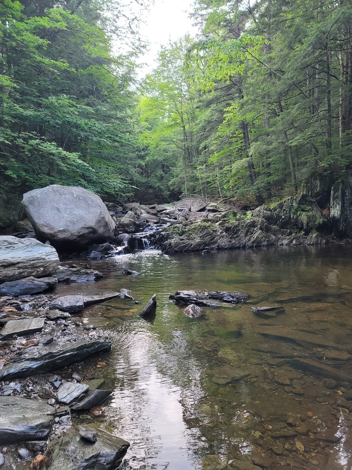 Winooski River North Branch